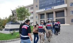 8 ilde siber dolandırıcılık operasyonu: 689 milyon TL’lik vurgun!