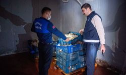 Adana’da Depoda Kokmuş 25 Kasa Tavuk Ele Geçirildi