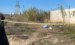 Adana'da yol kenarında kadın ces*di bulundu