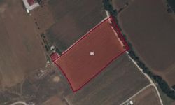 Afşin’de 2.7 milyon değerinde sulu tarım arazisi icradan satışa çıkarıldı