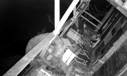 Balkona Tırmanan Ayı Kovaları Parçalayıp Balları Yedi