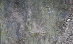 Çin’de 200 Milyon Yıllık Dinozor Ayak İzleri Bulundu