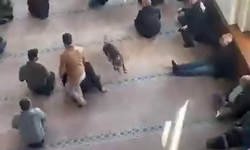 Cuma Namazı Sırasında Camiye Pitbull Girdi