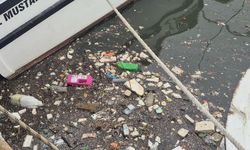 Deniz Kirliliği Alarm Veriyor: Zonguldak’ta Balıkçılar 1 Ton Çöp Topladı