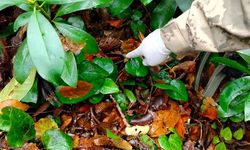 Dere Yatağında Bulunan Anne ve Oğlunun Ölüm Nedeni Açıklandı