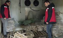 Gıda Denetiminde Skandal: 4 Milyon Liralık Bozulmuş Kokoreç İmha Edildi