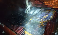 Zonguldak’ta Soba Bacası Yangını: Mahsur Papağan İtfaiye Tarafından Kurtarıldı