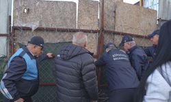 Ataşehir’de kaçak at kesimi iddiası: 2 şüpheli gözaltına alındı