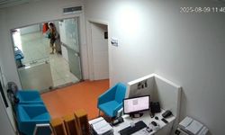 Suç makinesi kadın daha fazla kaçamadı: Hırsızlık anları kameraya yansıdı