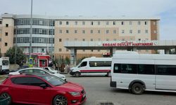 Diyarbakır’da damat katliamı: Kayınbabası ve kayınbiraderini öld*rdü