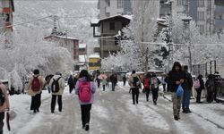 Bitlis'in merkez ve Güroymak ilçesinde eğitime bir gün ara verildi