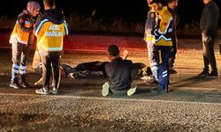 Diyarbakır’da yolun karşısına geçerken can verdi