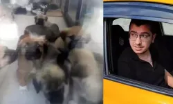 Doktora 'Köpekleri öldürmek' suçundan verilen cezanın gerekçesi açıklandı