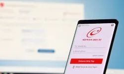 e-Devlet'e bomba özellik! Arabası olanlar bu hizmete çok sevinecek