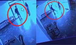 Elazığ’da sosyal tesiste kediye tekme atan görevli kamerada