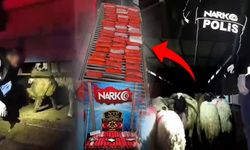 29 küçükbaşın karın boşluğuna gizlenmiş 54,6 kilo yasaklı madde ele geçirildi