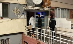 Sivas’ta kardeş cinay*ti: Tartıştığı ağabeyini bıçaklayarak öld*rdü