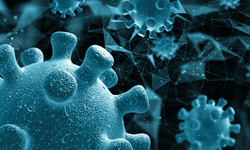 H3N2 Virüsü Türkiye'de Var mı? Belirtileri ve Korunma Yöntemleri