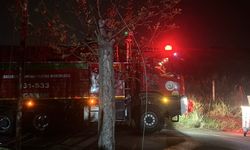 Hatay İskenderun’da çıkan ot yangını büyümeden söndürüldü