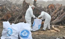 İhtiyaç sahiplerine odun desteği