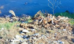 Dere yatağına yine at ve eşek kalıntıları atıldı: Mahalle sakinleri tepki gösterdi