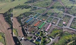 Kahramanmaraş depremi sonrası konteynerler sokak hayvanlarına yuva oldu