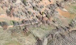 Kahramanmaraş Nurhak’ta yaban domuzu avı yapıldı