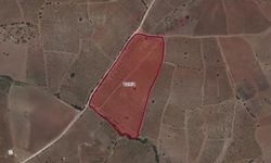 Kahramanmaraş Pazarcık’ta 36 dönüm tarla icradan satışta!