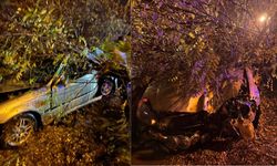 Kahramanmaraş trafik kazası: 2 kişi yaralandı