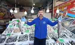 Kahramanmaraş’ta Balık Fiyatları ve Tüketim Rakamları Açıklandı