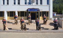 Kahramanmaraş’ta Esrar, Bonzai ve Metamfetamin Ele Geçirildi