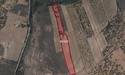 Kahramanmaraş’ta icradan satılık 14 dönüm kayısı bahçesi!