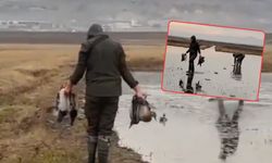 Kahramanmaraş’ta kaçak avcılar tespit edildi! 5 avcıya cezai işlem