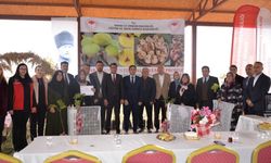 Kahramanmaraş’ta kadın çiftçilere incir desteği: Abbas inciri fidanı ve kurutma kereveti dağıtıldı