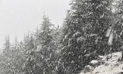 Pazartesi 21 ile lapa lapa kar yağacak