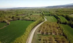 Kahramanmaraş’ta Tapusuz Yer Kalmayacak: 2B Arazileri İçin Tarih Açıklandı