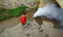 Kahramanmaraş'ta vektör zararlılara karşı kışlak ilaçlamaya başlandı