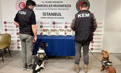 Kapıkule ve Sabiha Gökçen’de 1 milyar TL’lik kaçak madde yakalandı