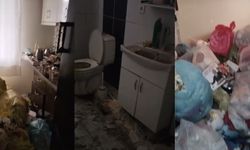 Kiraya verdiği dairesine girince gördüğü manzara şoke etti