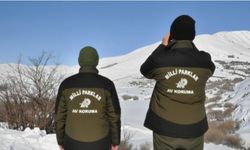 Koruma altındaki yaban keçisini avladı, 956 bin TL ödeyecek