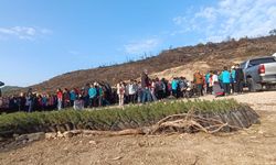 Kozan’da Öğrenciler Orman Yangını Alanını Fidanlarla Yeşertti