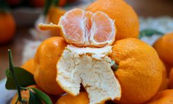 Mandalina Türkiye’nin En Ucuz Meyvesi Oldu