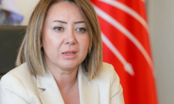 Meryem Gül Çiftçi Binici Kimdir? CHP’nin Yeni MYK’sında Öne Çıkan İsim