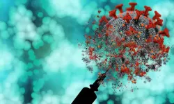 Mpox virüsünün yeni bir varyantı tespit edildi