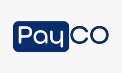 Payco Elektronik Ödeme'nin Kimin? Payco Elektronik Ne İş Yapar, Sahibi Kimdir?