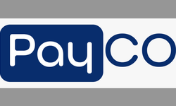 Payco Elektronik Ödeme hizmetlerine ‘yasa dışı bahis’ operasyonu