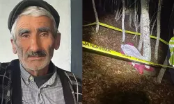 Uçuruma uçan traktörün sürücüsü öldü, eşi yaralandı