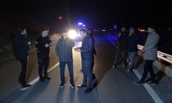 Malatya’da kaçan yarış atları karayoluna çıktı: 6 at telef oldu, 2 kişi yaralandı