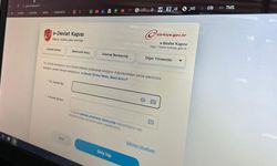 Bilişim uzmanı uyardı: E-Devlet’in kopyalarıyla dolandırıcılığa dikkat