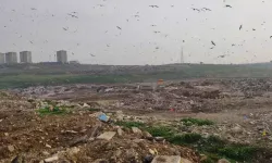 Bakanlıktan belediyeye yaklaşık 1,9 milyon liralık "vahşi çöp depolama" cezası